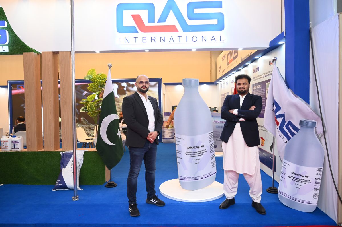 ipex16.JPG