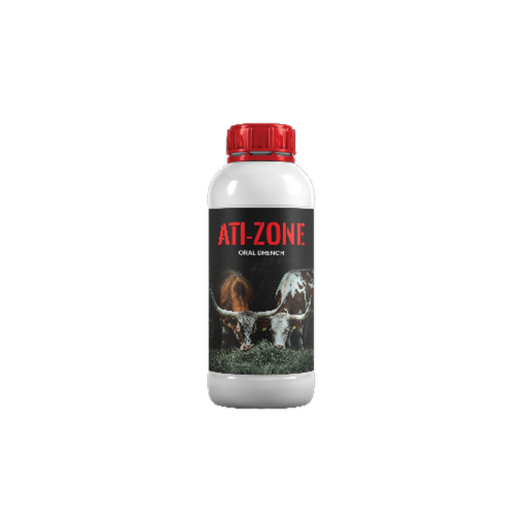 ANTI-ZONE