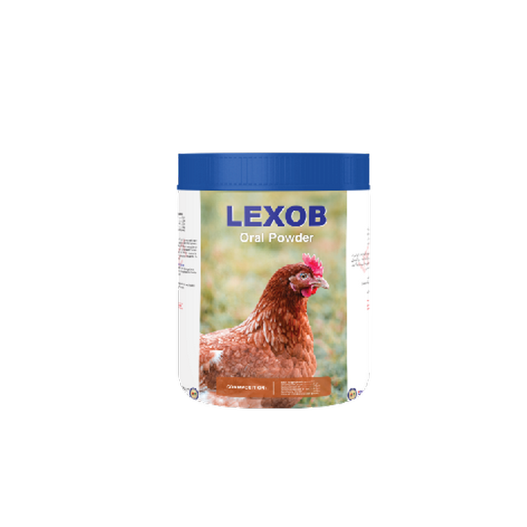 LEXOB