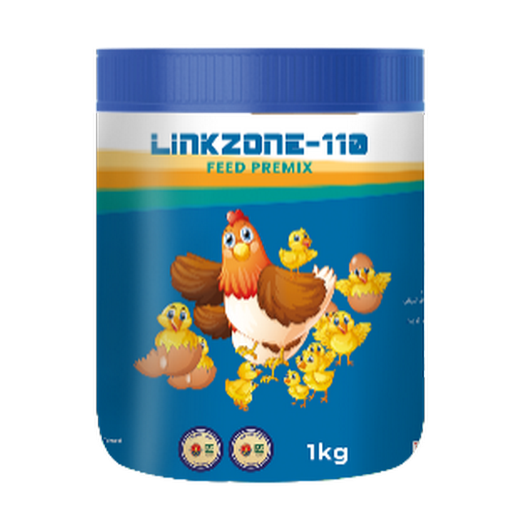 LINK ZONE-110