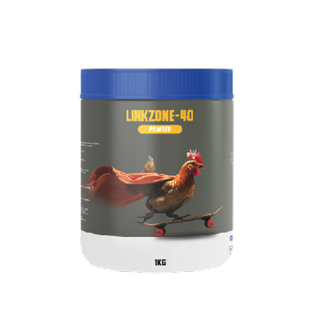 LINK ZONE-40