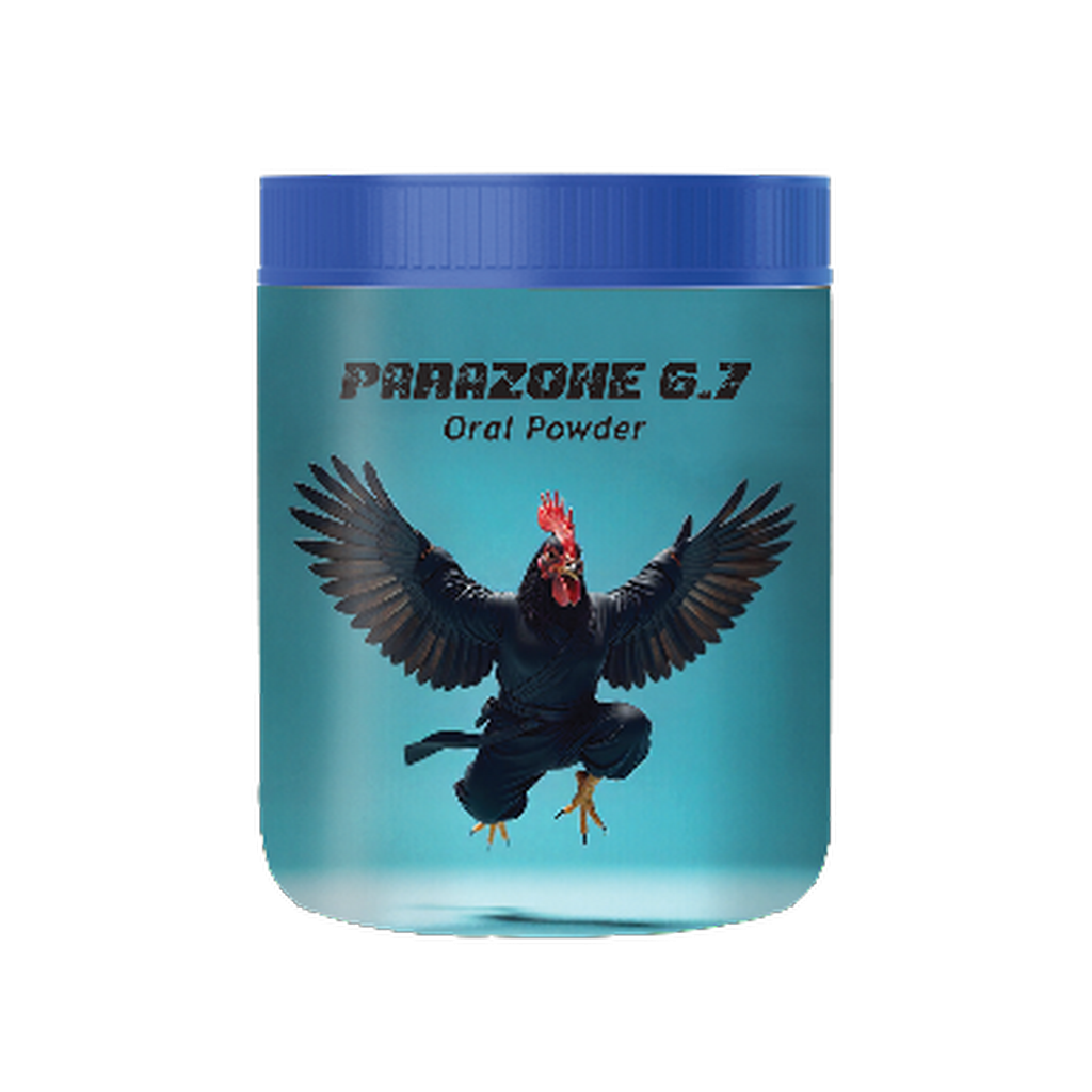 PARA ZONE-6.7