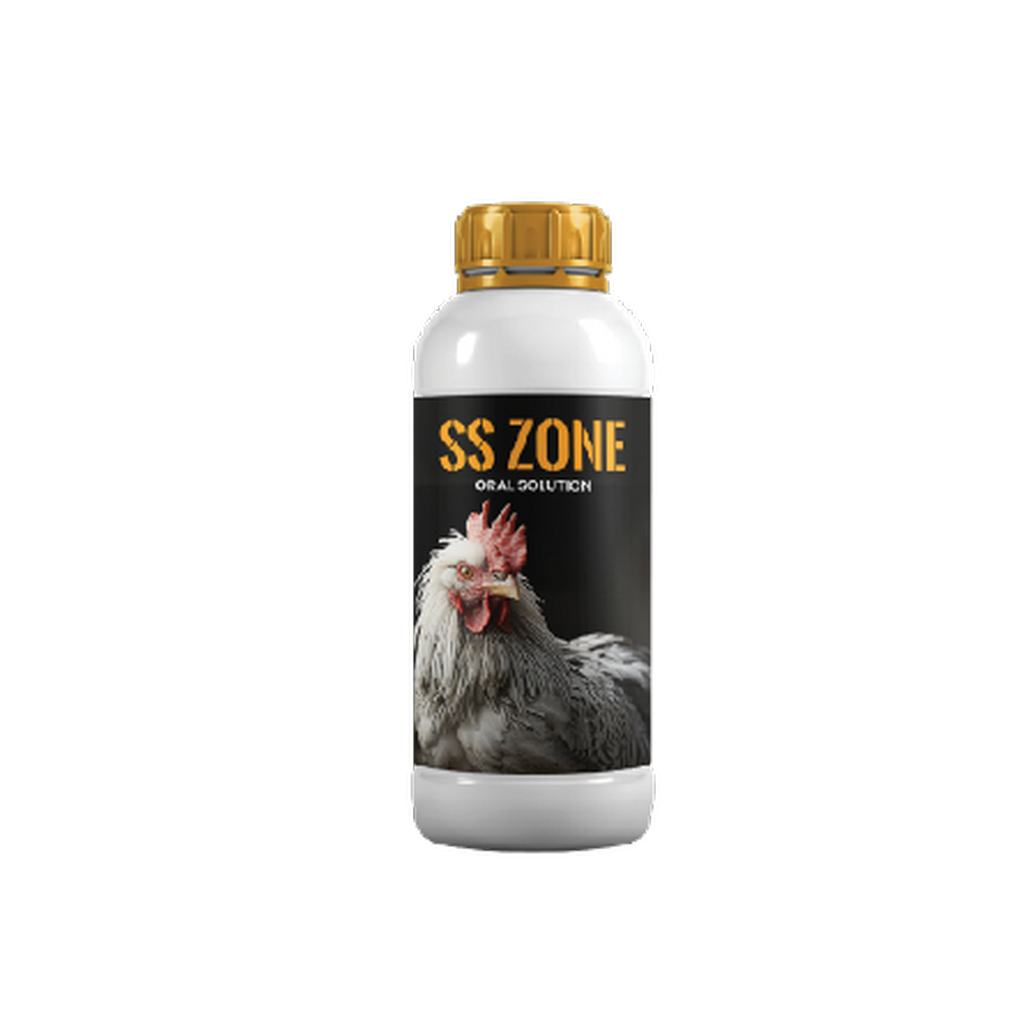 SS ZONE