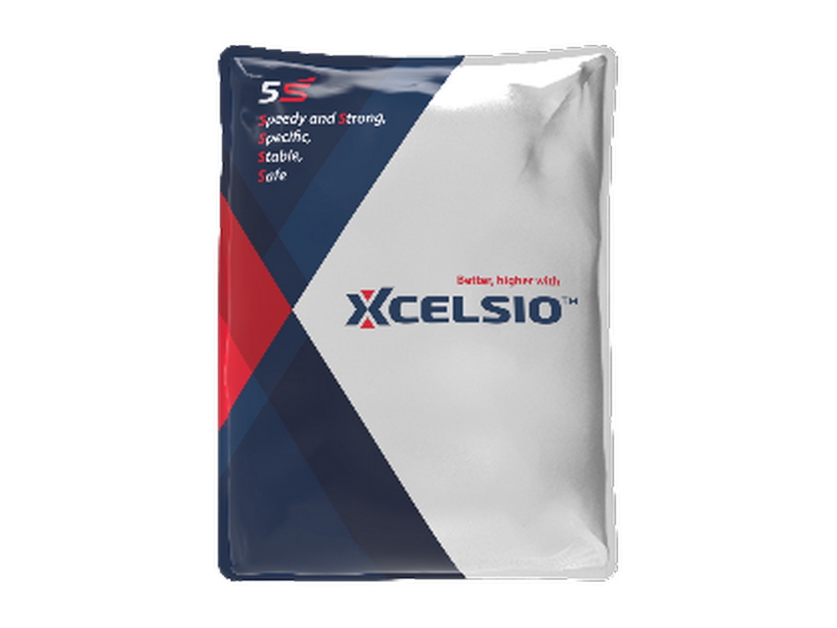 XCELSIO wsp