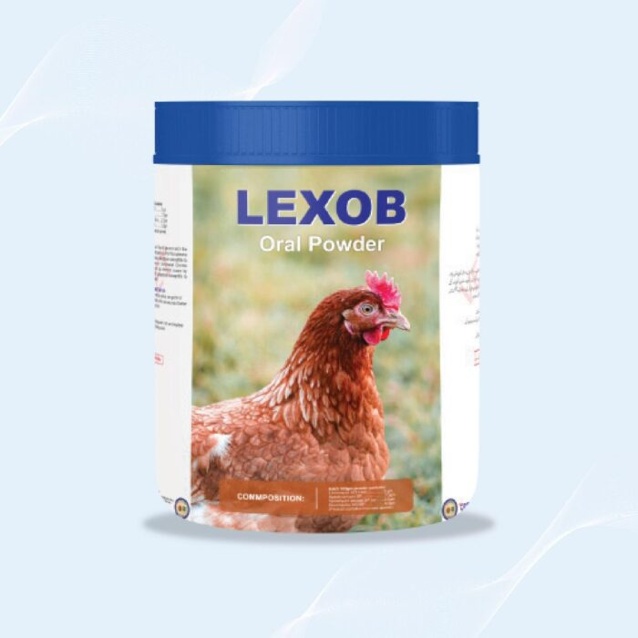 LEXOB Oral Powder